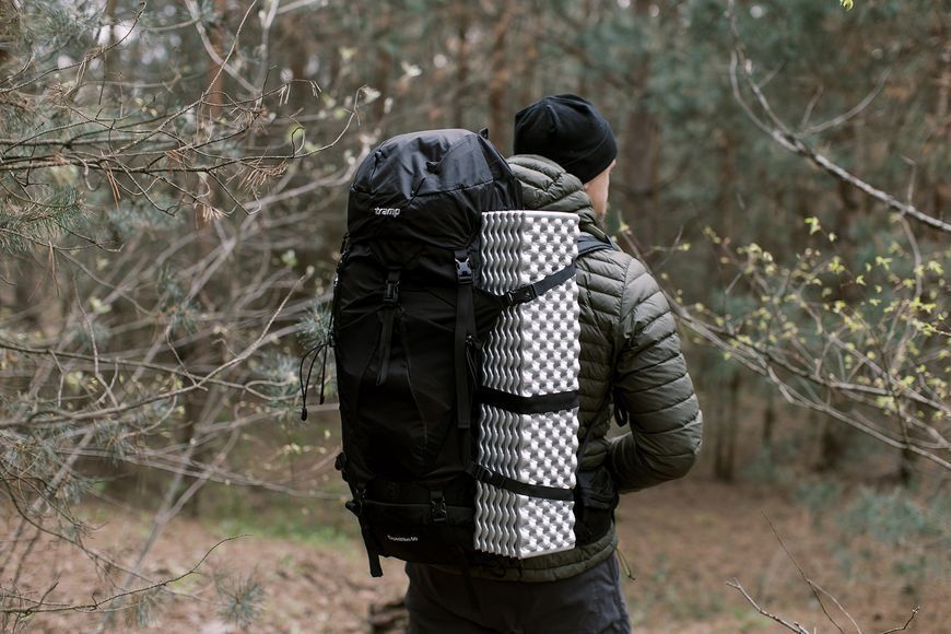 Рюкзак туристический Tramp Expedition 60 л (черный) UTRP-056-black фото