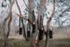 Чохол Tribe Neoprene Cover для термоса 0,9 л (T-DF-0010-black) T-DF-0010-black фото 15